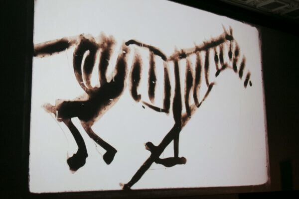 An animation a day keeps the doctor away ehk Animated Dreamsi avamine