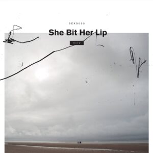 She Bit Her Lip – Viiv (Seksound, 2015)
