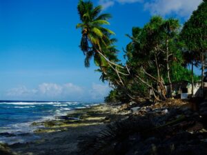 Kes on kliimapagulased?