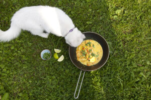 Kahvliahvi kokaraamat pakub söögilaua poeesiat