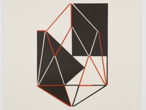 GreenFieldi etendusõhtu Sõltumatu Tantsu Laval