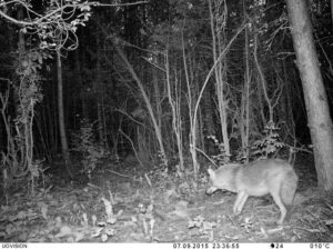 Ebakindel keskkond ja kommunikatsioon