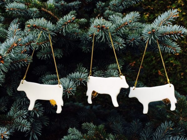 Eesti disain j&otilde;uluks koju