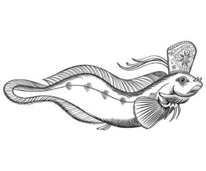 Merekultuuriaastal näoga mere poole