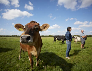 Pretensioonikas plaan: 100% orgaaniline Taani