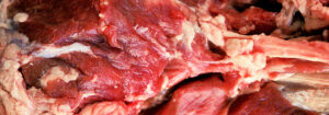 Kellel on õigus süüa liha?