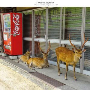 Vainio & Vigroux – Peau Froide, Léger Soleil (Cosmo Rhythmatic, 2015)