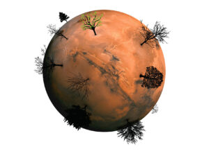 Muusikaajakirjandus – kelle asi see on?