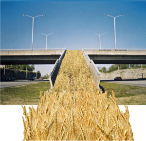 Anna hoogu: LasnaVILJAmägi