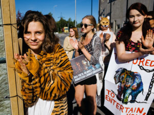 Galerii: Meeleavaldus loomade kasutamise vastu tsirkuses