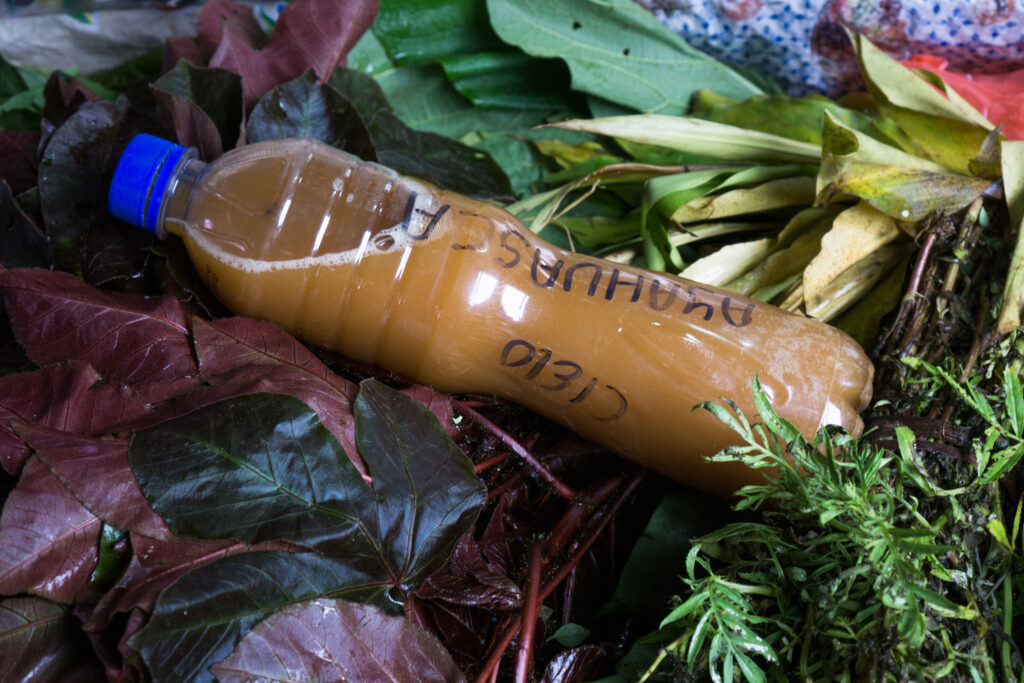 Ayahuasca – imerohi või narkoäri?