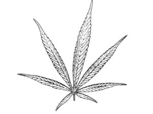 Tabuteema meditsiinisüsteemis