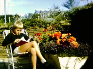 Asutati ühisraamatukogu Bookworld.me