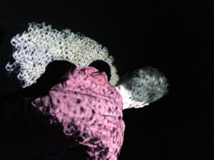 Estonias jõuab lavale audiovisuaalne kontsert-etendus „Koridor”