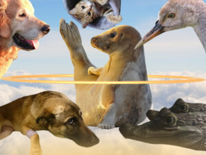 EKKMi Kohvikus toimub pidu Loomakaitse Liidu toetuseks