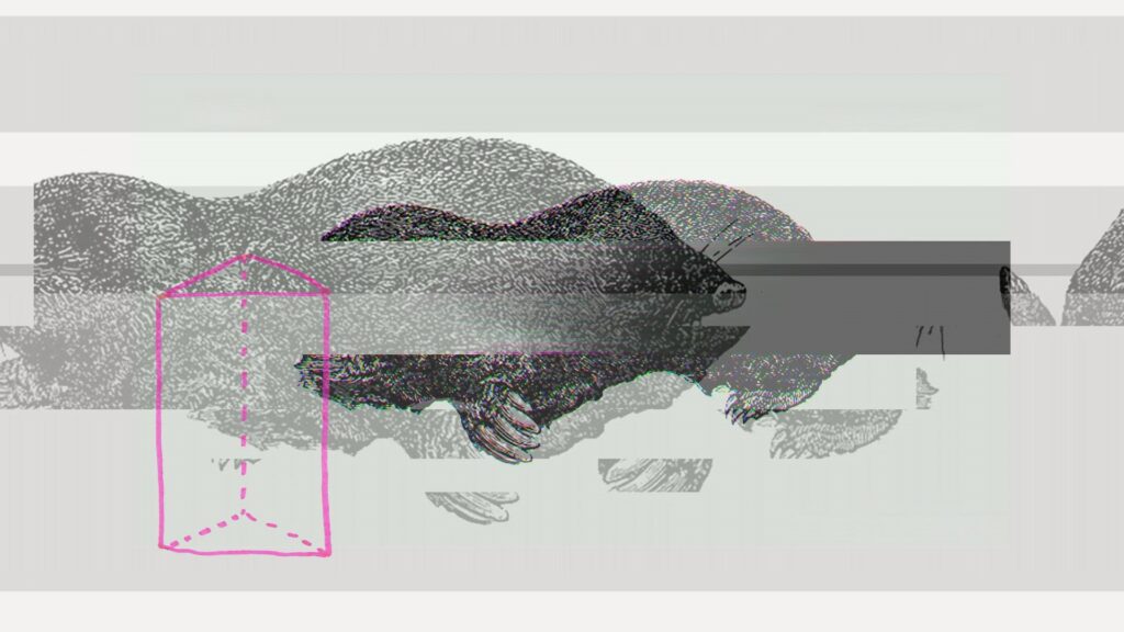 Grafodroomis toimub laupäeval eksperimentaalmuusika öö