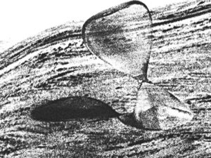 Talveunne suikunud innovatsioon