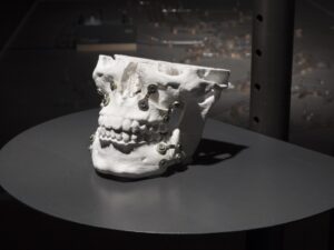 Kultuuri tuletornid Transmediale ja CTM Festival