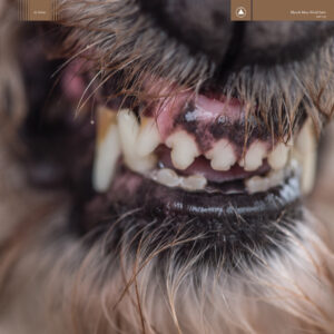 Blanck Mass – World Eater (Sacred Bones, 2017)