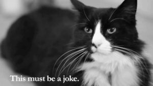 Kassipildituumaplahvatus