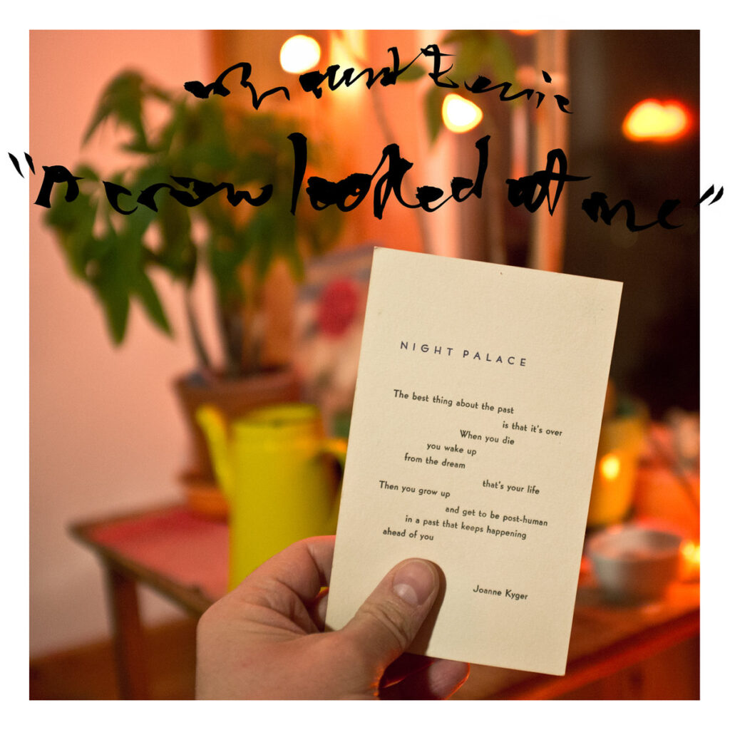 Mount Eerie – A Crow Looked At Me  (P.W. Elverum & Sun, 2017)