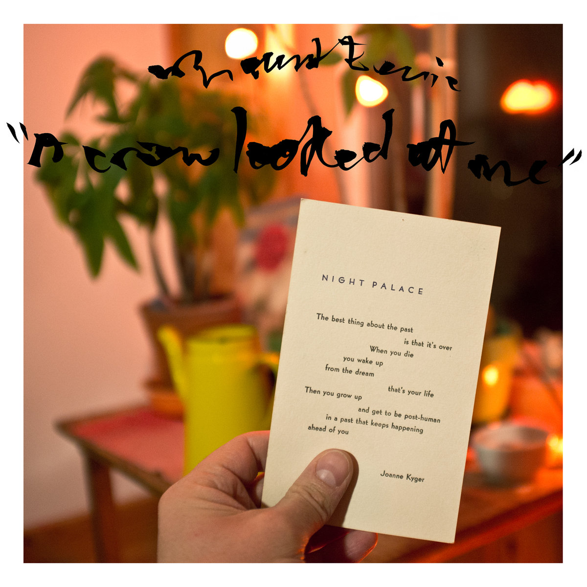 Mount Eerie – A Crow Looked At Me  (P.W. Elverum & Sun, 2017)