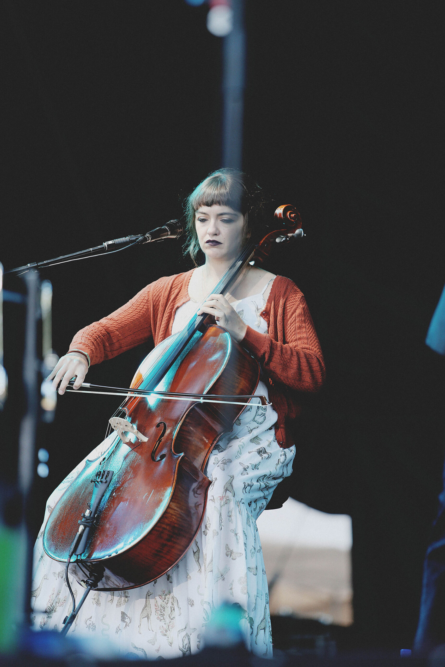 The Lumineers