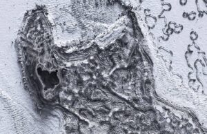 Tallinna arhitektuuribiennaal kaasab linnadisaini biotehnoloogia