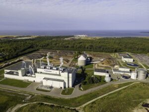 Kohalikud valimised: Kes toetab tselluloositehast?