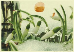 Kaire Nurk avab Tartus näituse „Kevademaa kollaažid“