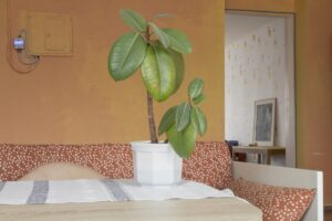 Arvustus: Varjupaika jõudmine on tähistamist väärt