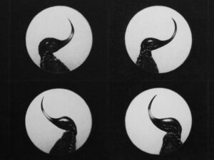 Anna hoogu: Eesti ja Ungari graafika n&auml;itus Budapestis