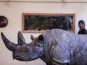 H&uuml;lle Haabi ja Juka K&auml;&auml;rmanni r&auml;ndn&auml;itus j&otilde;uab Valka