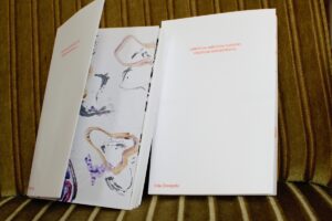 Arvustus: P&auml;evikromaani hiilgus ja viletsus