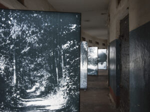 Filmiarhiivis on avatud Aap Tepperi näitus erifondidest pärit fotodest