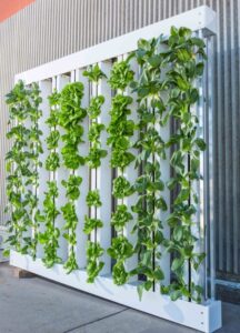 Uus tehnoloogia toob Eestisse aastaringse toidukasvatuse