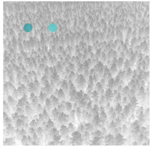 Taavi Tulev – ⬤⬤ (2018)