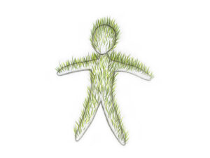 Kasva ja kõdune: väike rahvusvaheline ökoloogilise kunsti festival