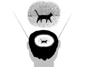 N&auml;gemise mitu n&auml;gu