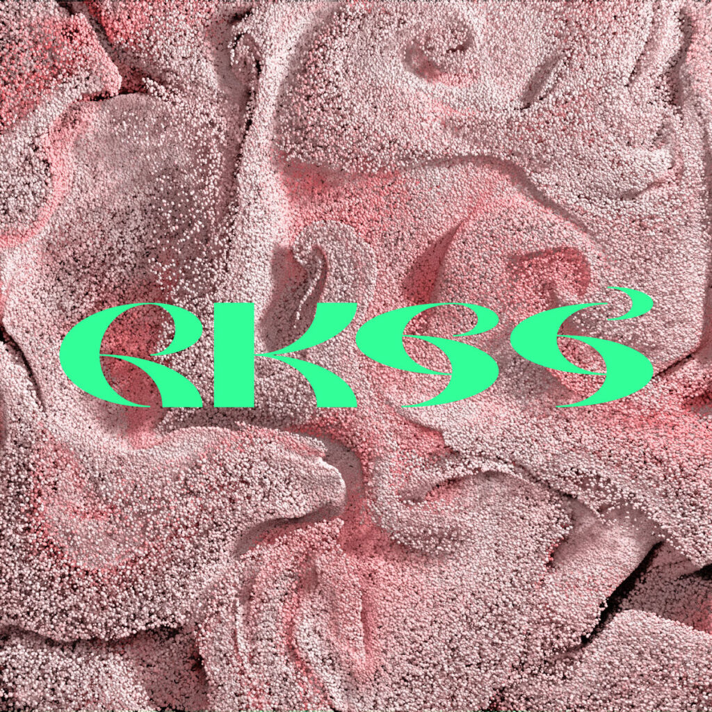 rkss ‎– DJ Tools (UIQ, 2018)