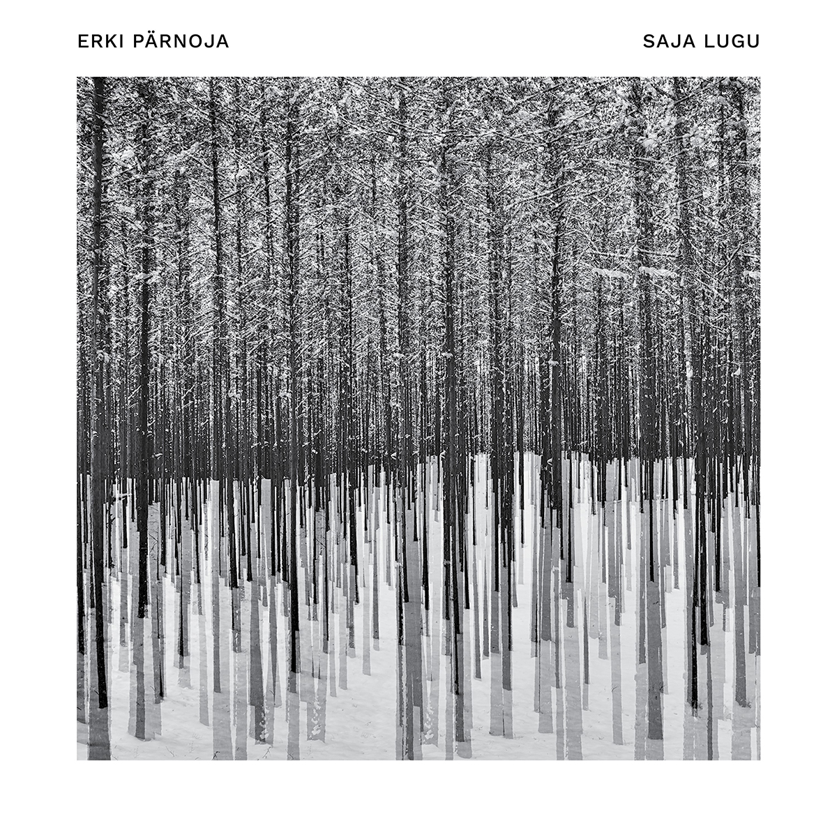 Erki Pärnoja – Saja lugu