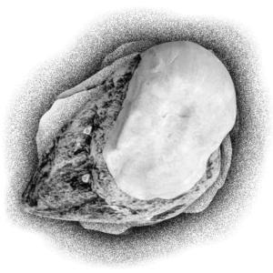 Mida k&otilde;neleb mateeria me &uuml;mber