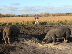 Maailmafilmi festivali programm paneb mõtlema üldinimlikel ja aktuaalsetel teemadel