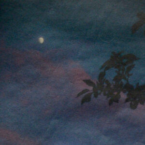 Liis Ring – Åker (2018)