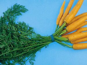 Taimne Teisip&auml;ev koolides: muutuse otsetee inertses &uuml;hiskonnas