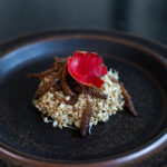 Põldosja kevadvõsud karikseenega