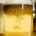 Leedripuu õie äädikas