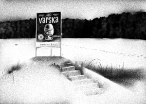 Andres Maimik: Hoolitseja päevaraamat