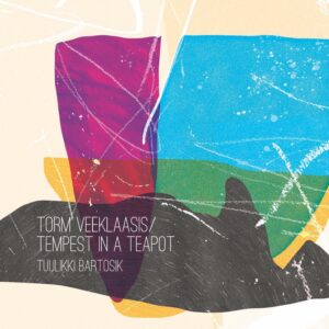 Tuulikki Bartosik – Torm veeklaasis  (Playing With Music, 2019)