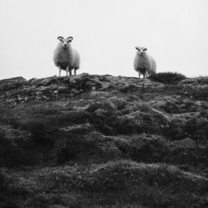 EiK & Luurel Varas – TIKS 097 (TIKS, 2021)